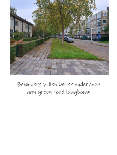 Bewoners willen beter onderhoud  aan groen rond laagbouw